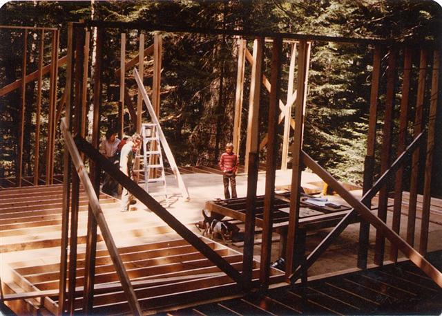 Janet's cabin under construction; Zach surveys the scene. May 1982