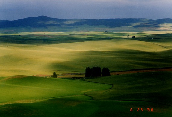 The Palouse hills between Spokane and Pullman.