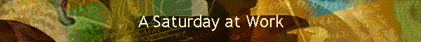 A Saturday at Work