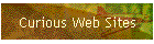 Curious Web Sites