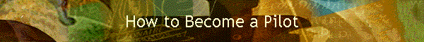 How to Become a Pilot