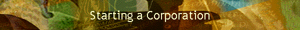 Starting a Corporation