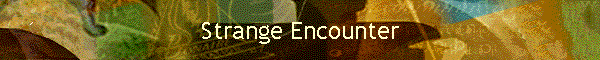 Strange Encounter