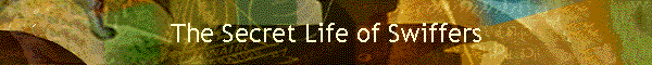 The Secret Life of Swiffers