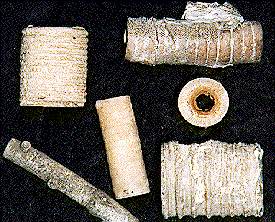 Fossilized crinoid stems; AKA "Indian Beads."