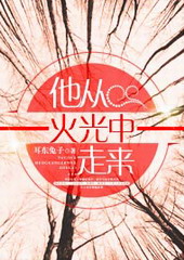 他从火光中走来分集剧情